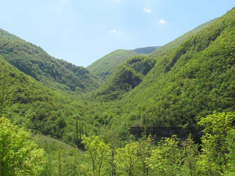 20-faggete miste della valle di Rapegna