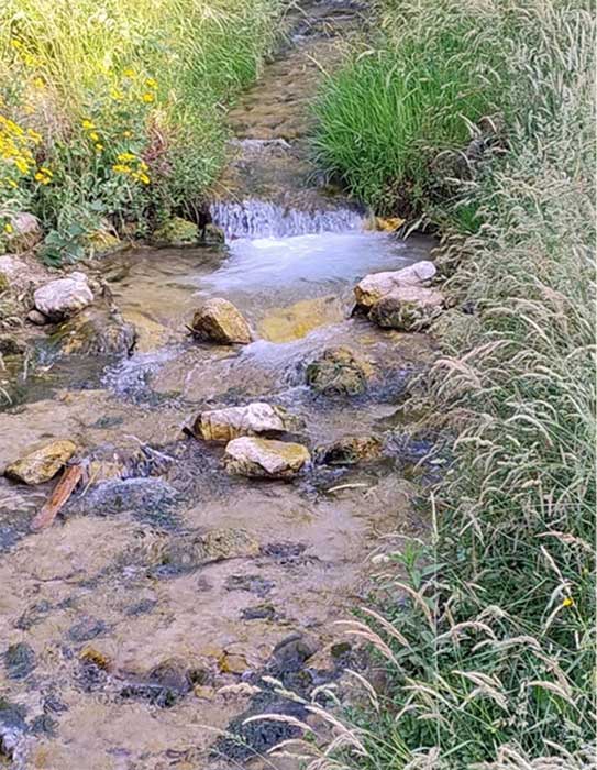 fiume