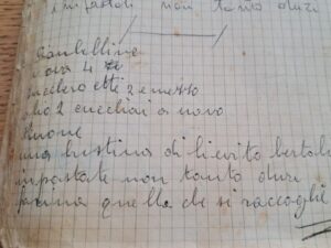 foto 2 ciambelline anice